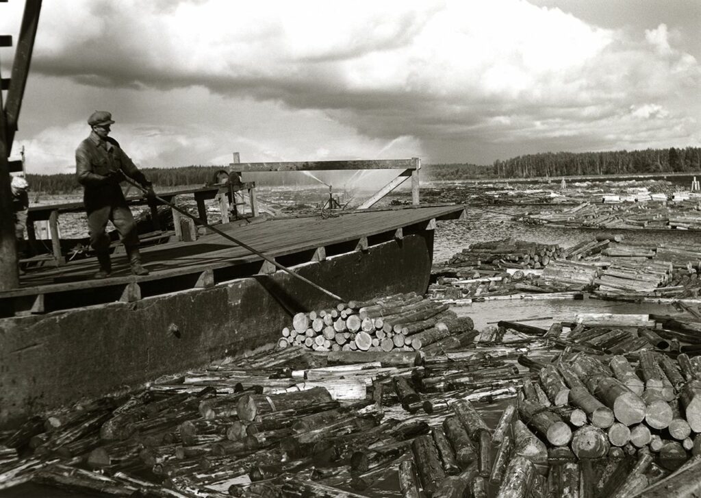 MED Tolkkisten sellu