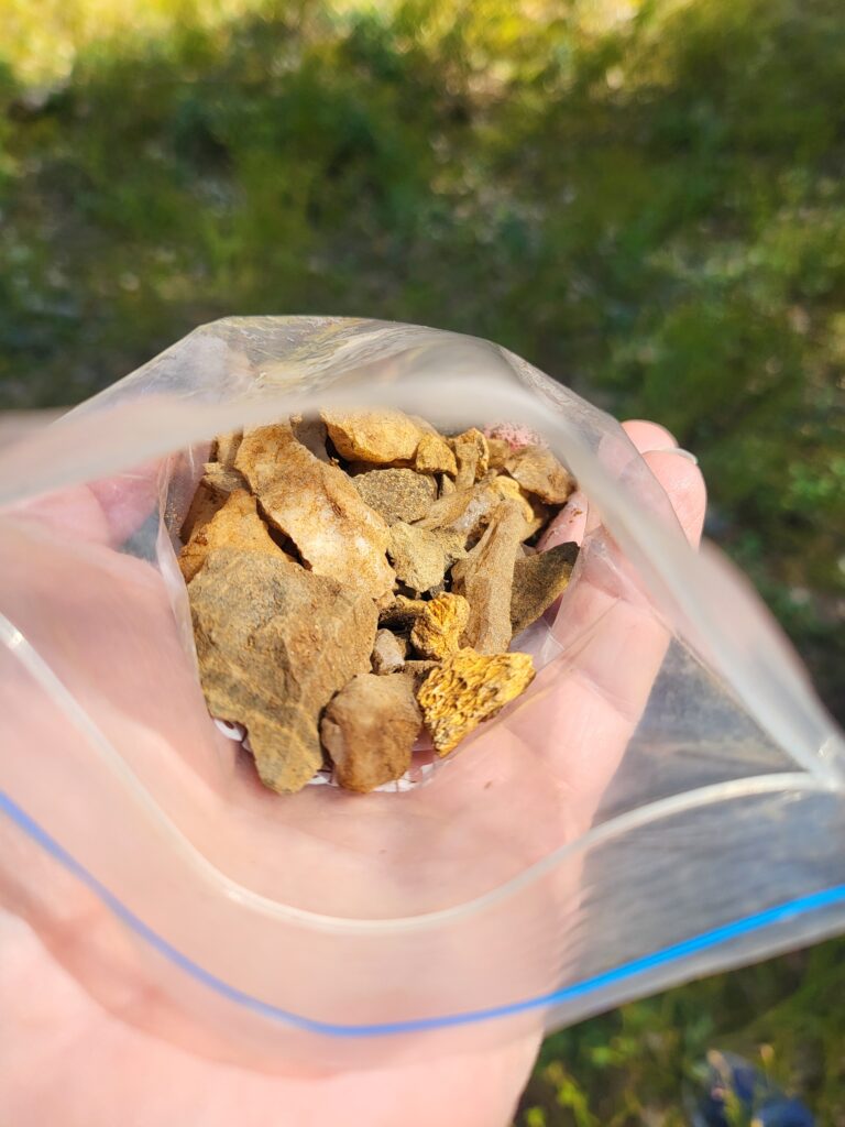 Kvartsavslag och bränt ben i en påse.