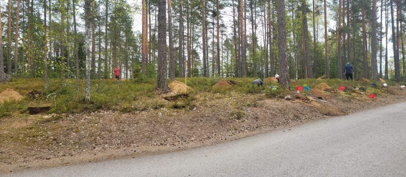 Kuva 1_Kivikautinen asuinpaikka mäntymetsässä Stenåldersboplats i tallskog.